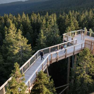 ŠETNJA MEĐU KROŠNJAMA I POHORJE 14.03.2026.