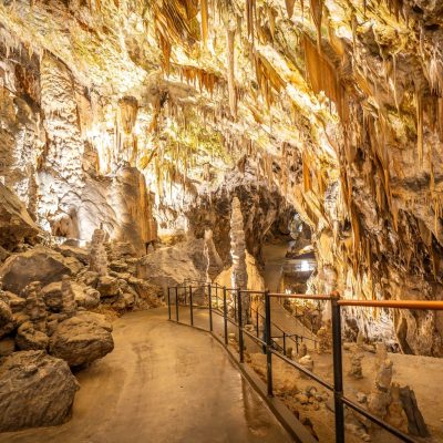 POSTOJNSKA JAMA I LJUBLJANA [28.2.2026.]