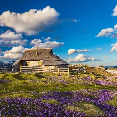 VELIKA PLANINA I KAMNIŠKE ALPE 20.05.2026.