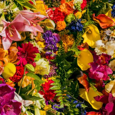 CVJETNA BAJKA - NAJVEĆA EUROPSKA IZLOŽBA CVIJEĆA U TULLNU [5.9.2026.]